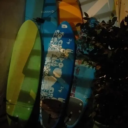 بيت شباب Rosa De Vientos