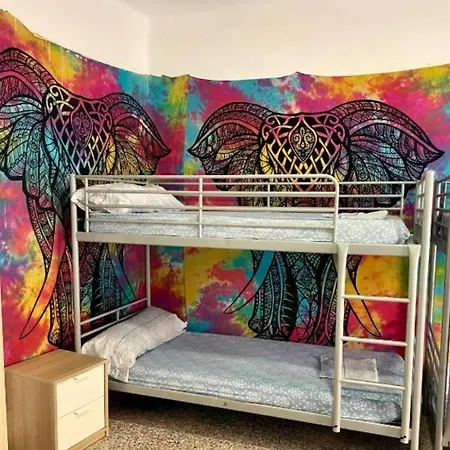 بيت شباب Rosa De Vientos كاديز