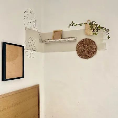 Rosa De Vientos Hostel Cadiz